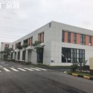 航空港区 【50年】产权 【8.1米