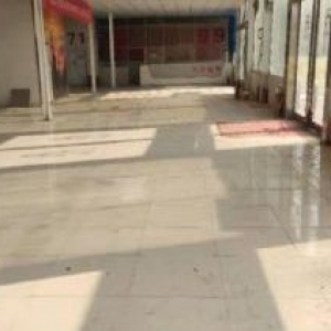 双湖大道与龙湖大道交叉口北50米路东1600平仓库(可分割出