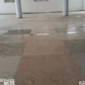 整租特价直租厂房+住宅