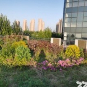 政府示范性园区，西四环300−2000平标准化厂房租售中