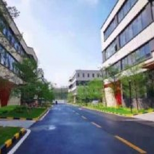 港区中南高科闽港产业园稀缺首层8.1米适合办公生产研发